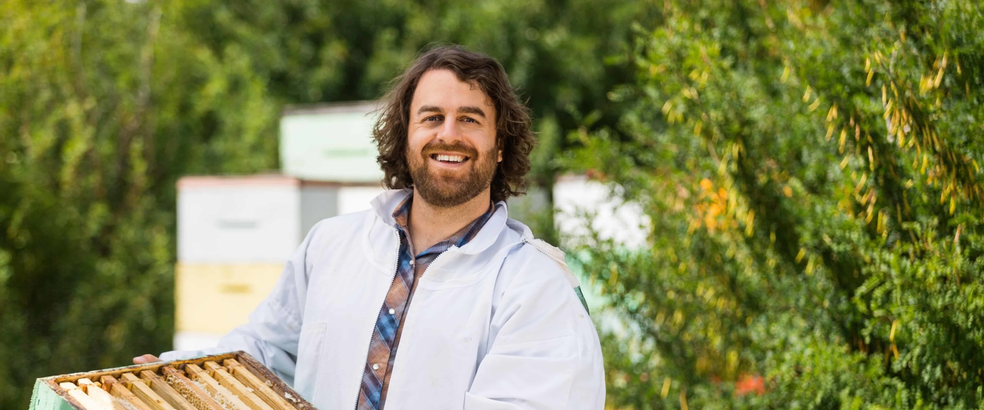 Bee Removal Services in Sacramento, CA - Get Professional Help Now!