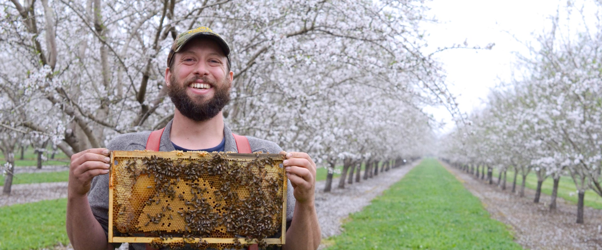 When is the Best Time to Start Beekeeping in Sacramento, CA?